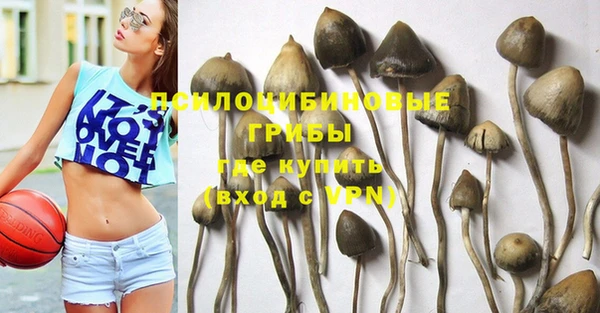СК Осинники