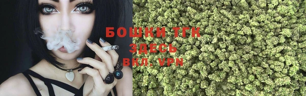 СК Арсеньев