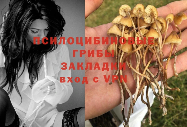 таблы Армянск