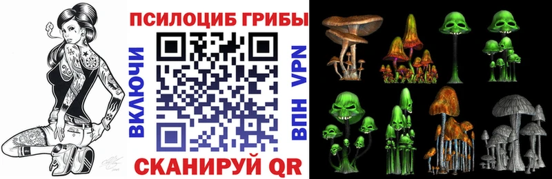 как найти закладки  Байкальск  Галлюциногенные грибы ЛСД 